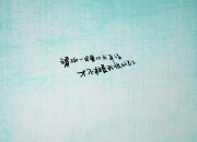 开云体育平台APP-绿茵孤勇，2026世界杯C组，奥地利人的血色突围与加维的未竟之舞