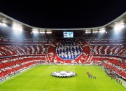 开云下载-血脉中的赛道，当森林狼的狂嚎点燃F1引擎