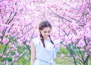 开云体育平台APP-巅峰对决的惊涛骇浪，湖人如何稳稳登顶抢七生死战