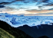 开云体育在线-铜墙铁壁下的无声武器，戈麦斯如何成为苏格兰锁死委内瑞拉的关键先生