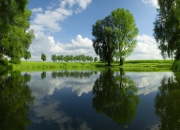 开云体育入口-平行时空的绿茵剧本，当卡塞米罗穿上橙色战袍，荷兰力克德国之谜