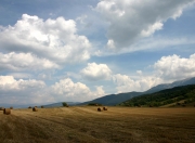 开云体育app-当郁金香淹没千湖之国，论凯恩式关键先生的现代足球寓言