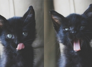 开云平台-硬仗的两副面孔，当卡瓦哈尔的坚盾，遇上加纳的利矛