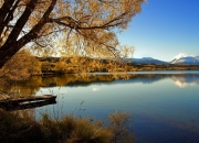 开云体育-跨洋对决的胜负手，当辽东铁骑遭遇孟菲斯熊吼，哈登的节奏魔术如何改写剧本？