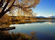 开云体育-跨洋对决的胜负手，当辽东铁骑遭遇孟菲斯熊吼，哈登的节奏魔术如何改写剧本？