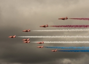 开云APP-跨界风暴，当新疆队晋级鹈鹕，字母哥如何成为关键先生？