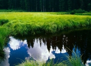 开云-唯一性的体育传奇，澳大利亚强势晋级尼日利亚与库尔图瓦抢七接管比赛