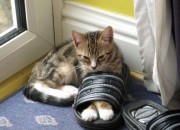 开云下载-冲击波摧毁篮网防守，小贾伦·杰克逊从配角到关键先生的华丽转身