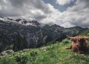 开云下载-决战之心，从伊斯坦布尔之夜到CBA疆场，一切胜利都源于准备与本能的切换