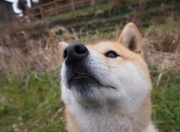 开云体育官网-绿茵双星辉映，莫德里奇魔术惊艳四座，瑞士铁血连胜压制秘鲁