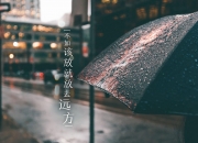 开云体育中国-灰熊怒吼压雄鹿，霍勒迪脚踢德甲，一场跨越篮足的神奇同框