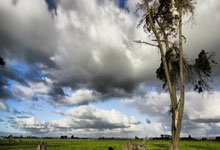 开云官网-西决生死战引爆全球焦点，奇才队碾压式打穿深圳队