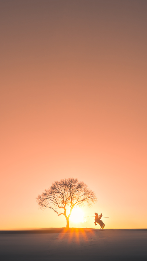 太阳陨落时，一场终结国王的奥运序章