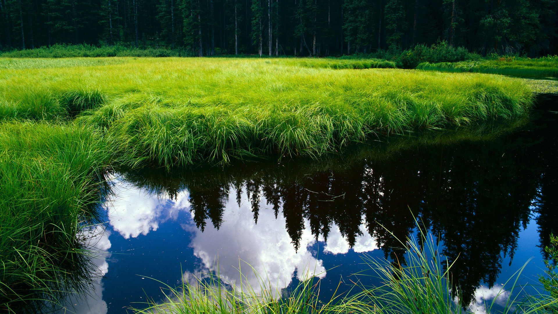 当边界消失，毕尔巴鄂的战术幽灵与NBA总决赛的足球魅影
