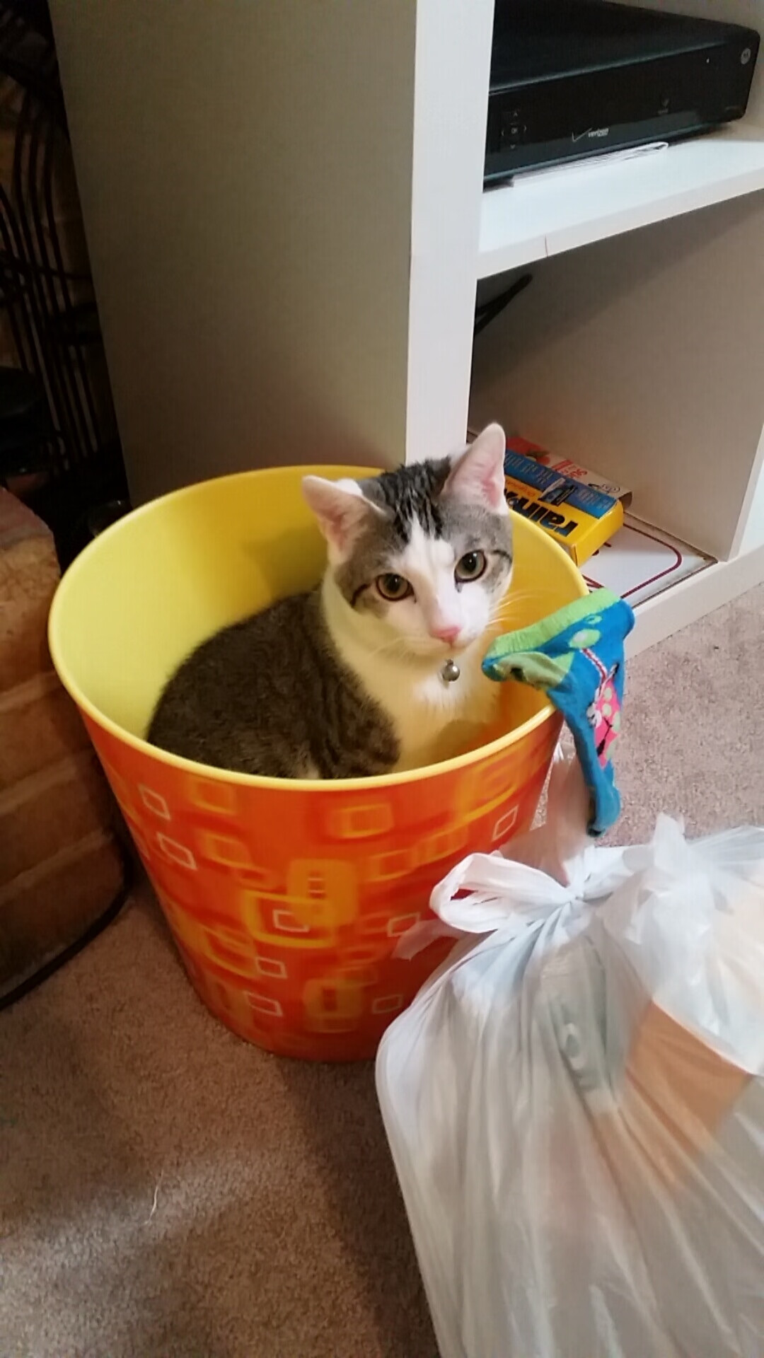 手术刀与镰刀，阿尔瓦雷斯的全局操盘，里昂的冷面终结