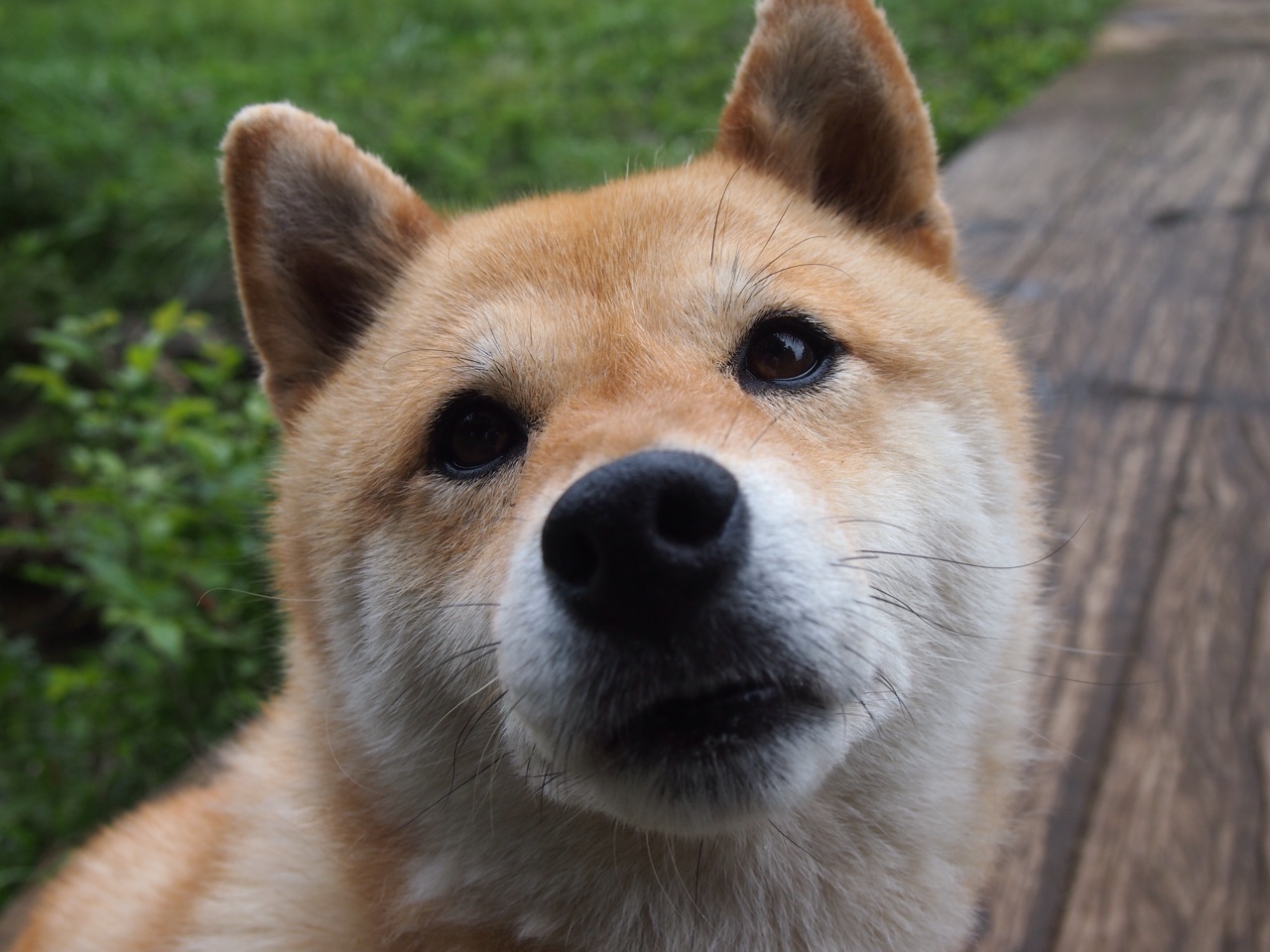 圆环之理,西决生死夜,保罗的操控者证明战