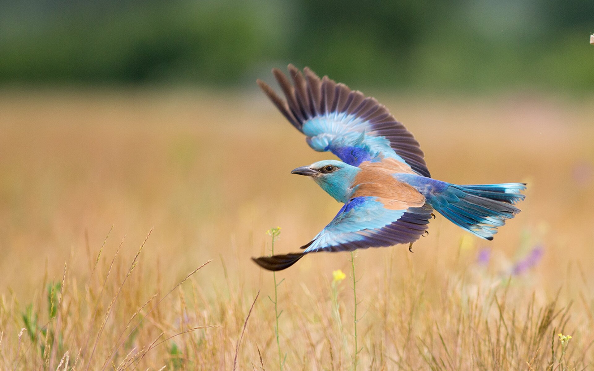 回忆与预言的交错,当尼克斯鏖战活塞,詹姆斯在东决的齿轮开始转动