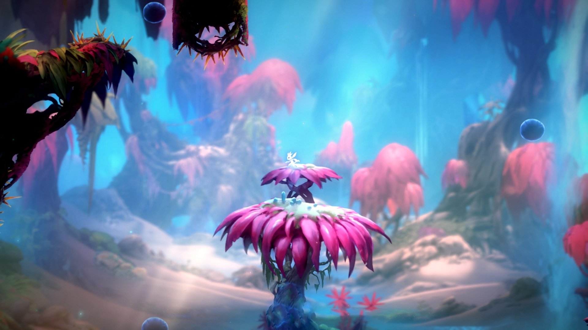 恩比德制霸禁区，火箭跨太平洋系列赛横扫辽宁