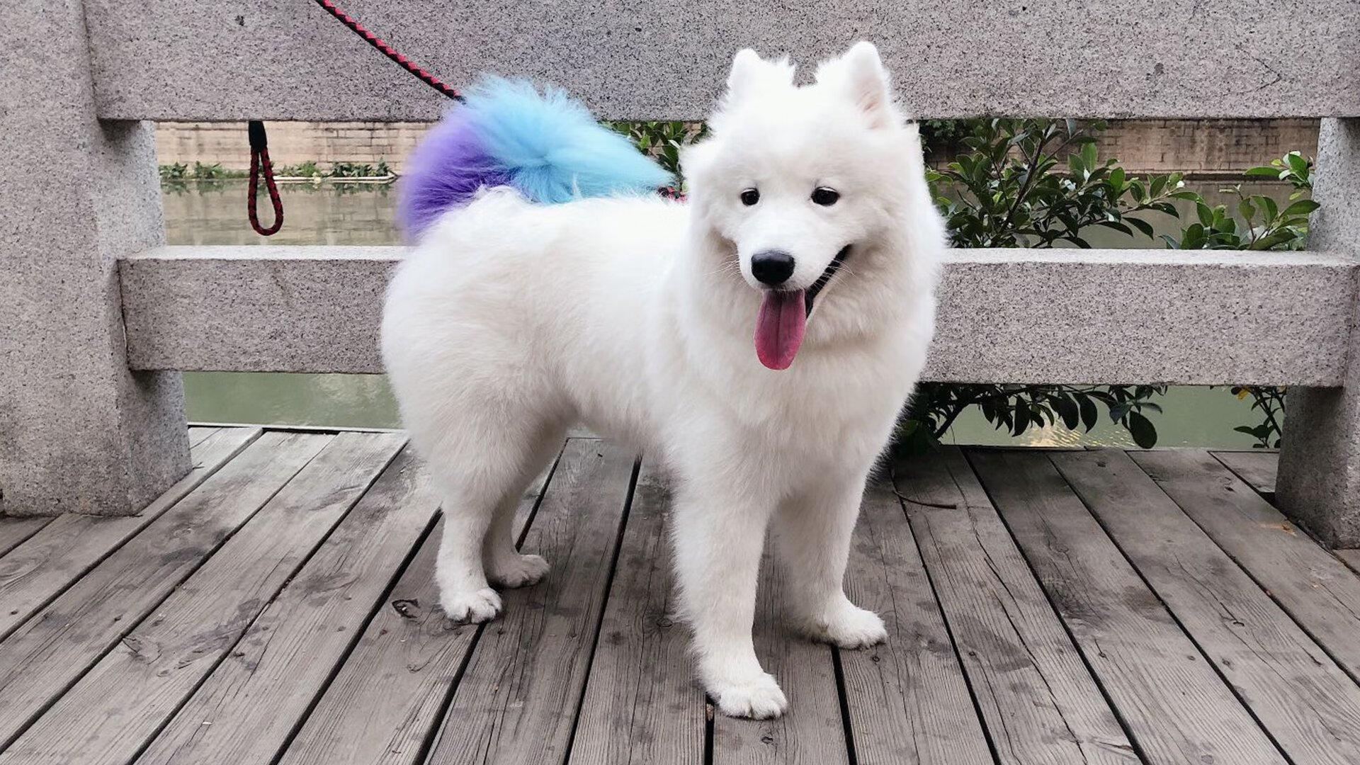 利拉德的死神时刻,当爵士对阵热火的悬念提前退场