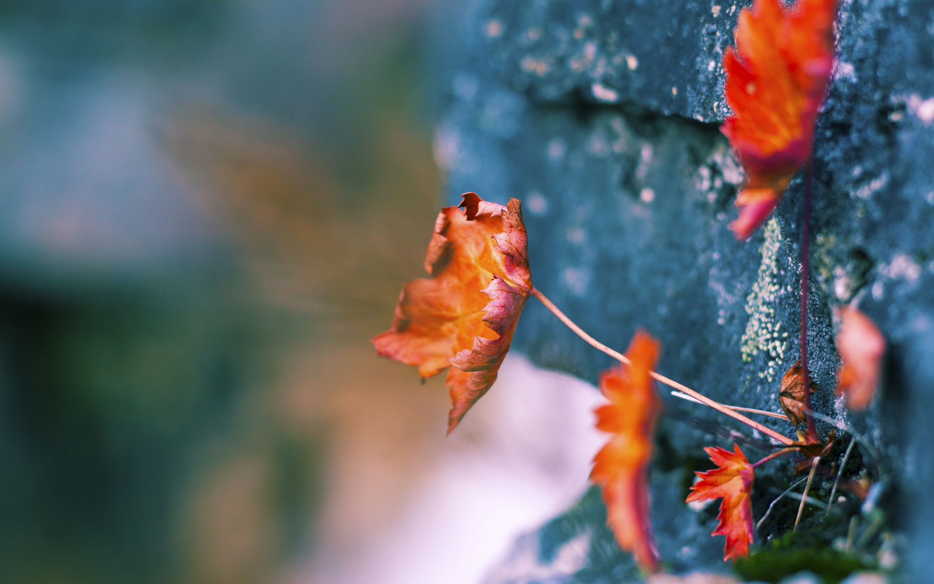 替补奇兵铸就经典！皮克临危受命化身定海神针，助曼联全面压制黄色潜水艇