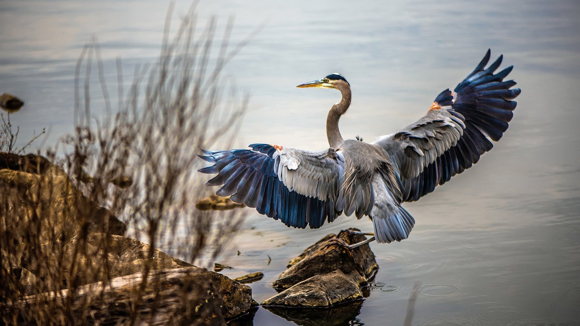 谁拨动了平行时空的秒针,卡拉斯科从天而降的关键制胜