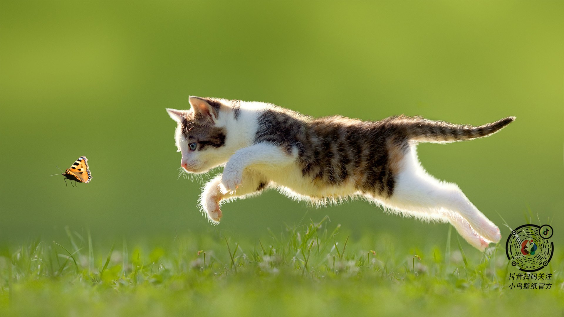 年度史诗夜,双星对撼,哈利伯顿的致命锋刃