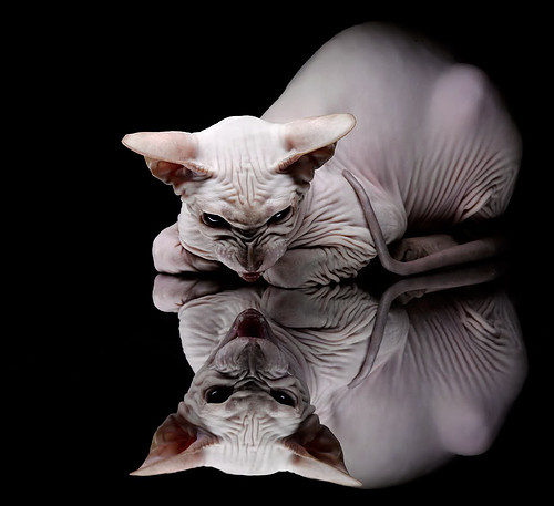 晋击苍穹,山西队极致防守绞杀雷霆,戈贝尔逆袭化身关键先生