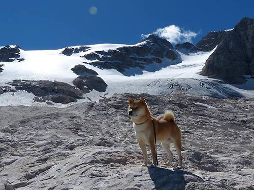 东方破晓,当魔术的团队之光让太阳的巨星光华尽敛
