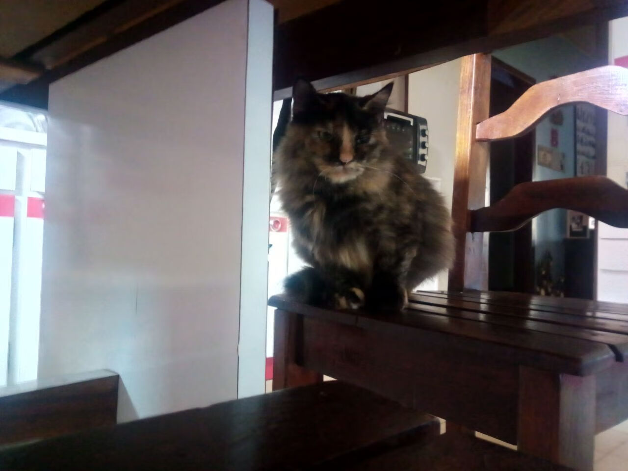 当东部冠军遇上西部霸主，一场打破常规的跨区巅峰对决