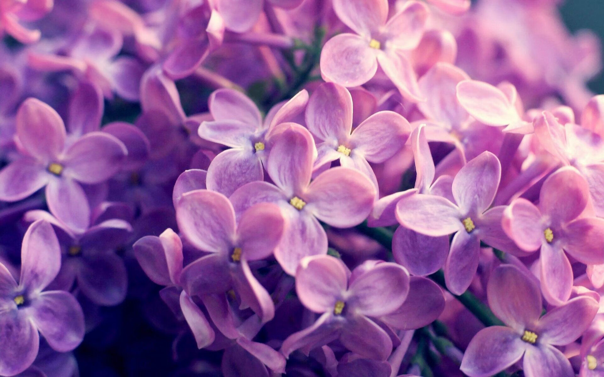 一人之舞，主宰胜负，詹姆斯如何主导天平向上海倾斜