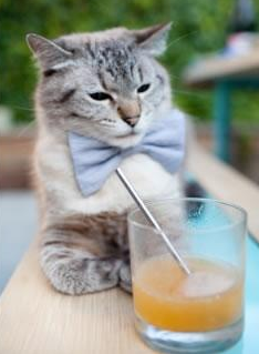 跨界星火，卡瓦哈尔在NBA总决赛之夜的足球艺术燃爆赛场