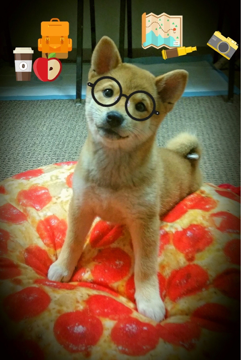 唯一的主角，唯一的转折，马克西的连续得分如何撕裂公牛防线