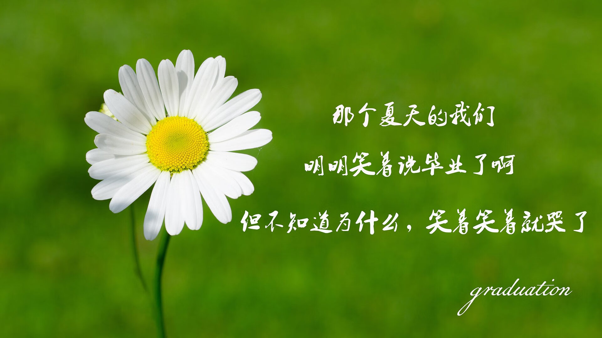 孤星耀世，2026世界杯C组，哥伦比亚横扫罗马尼亚，格列兹曼的最后一舞写就唯一传奇