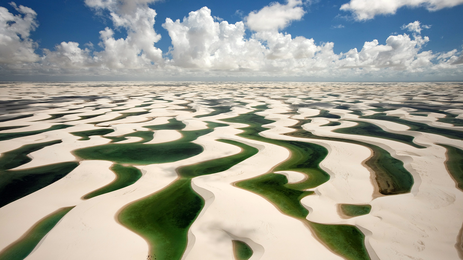 沙漠风暴席卷中美洲,2026世界杯D组,阿联酋力克哥斯达黎加,C罗上演不老神话