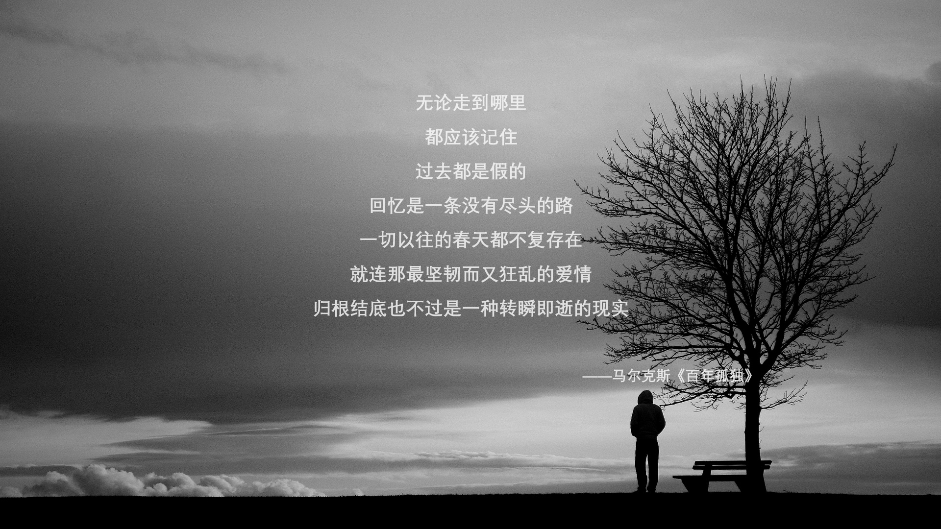 这是一篇围绕您指定关键词创作的深度分析文章