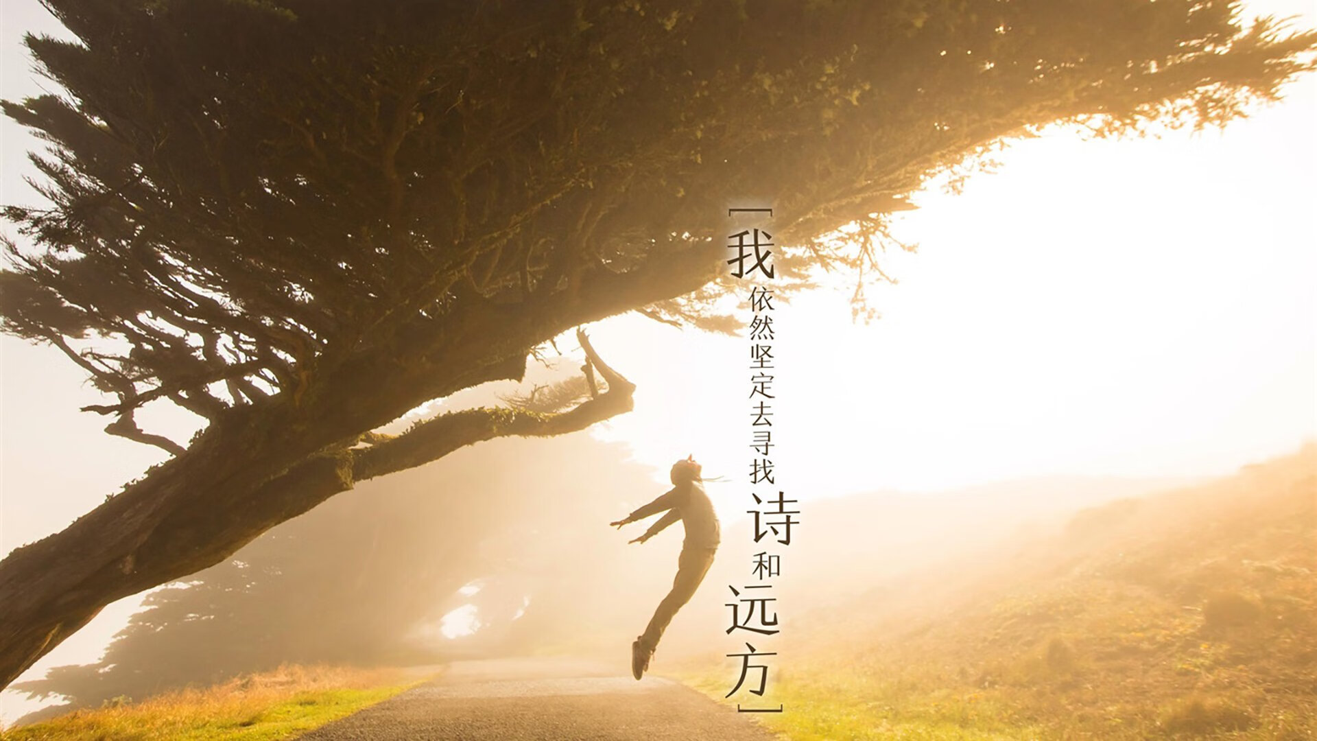 冰峡的一剑,当北欧神话撞上中欧铁骑,迪亚斯在2026的雪夜里封神