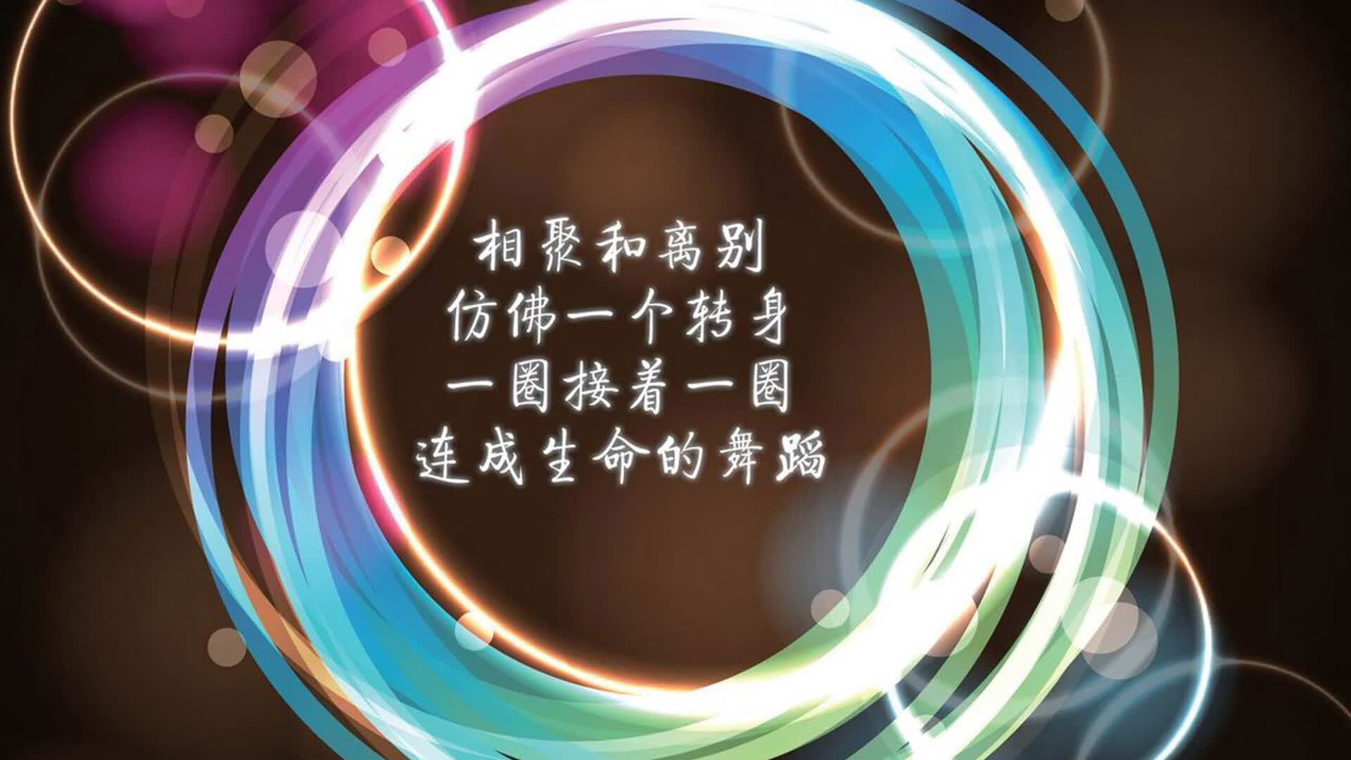 蓝黄风暴中的唯一旋律,奥斯梅恩领衔厄瓜多尔,在2026世界杯E组焦点战中击溃加拿大,诠释何为不可复制的默契