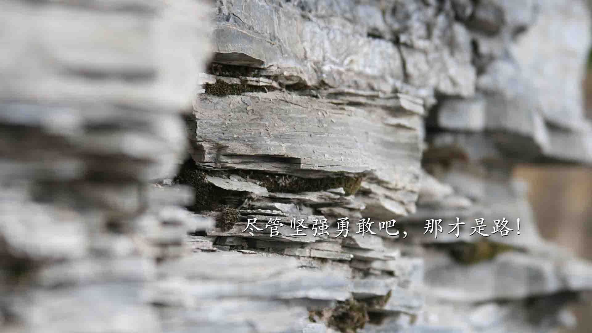 沙漠之狐的黄昏,非洲雄鹰的黎明,2026世界杯揭幕战,吉鲁一击定乾坤